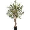 Trees & Topiaries-Kirkland's Home Mediterranean Olive Tree In Nursery Planter