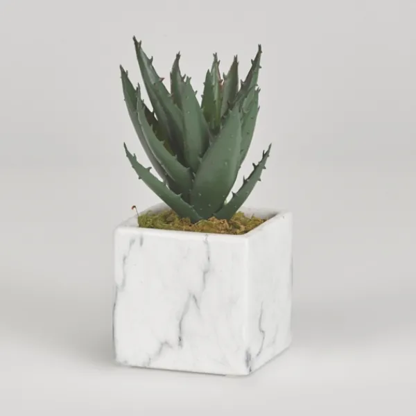 Arrangements & Greenery-Kirkland's Home Mini Aloe Plant In White Marble Ceramic Cube Green