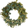 Wreaths-Kirkland's Home Mini Gradient Berries Twig Wreath Green
