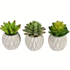 Arrangements & Greenery-Kirkland's Home Mini Succulents In Ceramic Pots, Set Of 3 Green