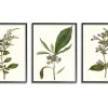 Framed Art-Kirkland's Home Minimal Soft Flowers Framed Art Prints, Set Of 3 Green/Blue