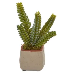Arrangements & Greenery-Kirkland's Home Mixed Succulent Arrangements, Set Of 4 Green
