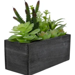 Arrangements & Greenery-Kirkland's Home Mixed Succulents In Black Wood Planter Box Green/Black