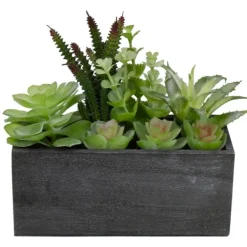 Arrangements & Greenery-Kirkland's Home Mixed Succulents In Black Wood Planter Box Green/Black