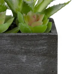 Arrangements & Greenery-Kirkland's Home Mixed Succulents In Black Wood Planter Box Green/Black