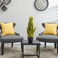 Arrangements & Greenery-Kirkland's Home Modern Potted Laurentii Snake Plant Green/Black