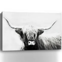 Canvas Art-Kirkland's Home Monochrome Longhorn Canvas Art Print, 60X40 In. Black/White