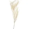 Stems & Bouquets-Kirkland's Home Natural Bleached Andares Fern Stems, Set Of 9 Ivory