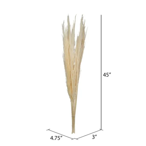 Stems & Bouquets-Kirkland's Home Natural Bleached Pampas Grass Stems, Set Of 6 Ivory