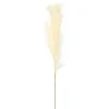 Stems & Bouquets-Kirkland's Home Natural Cream Pampas Grass Stems, Set Of 4 Ivory