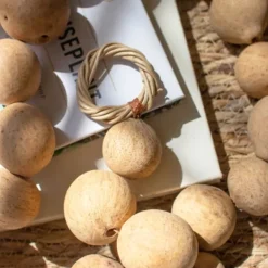 Decorative Accents-Kirkland's Home Natural Dried Gourd Garland Tan