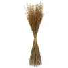 Stems & Bouquets-Kirkland's Home Natural Dried Princess Grass Bundles, Set Of 3 Tan