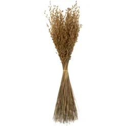 Stems & Bouquets-Kirkland's Home Natural Dried Princess Grass Bundles, Set Of 3 Tan