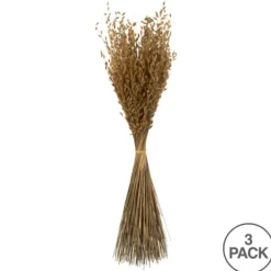 Stems & Bouquets-Kirkland's Home Natural Dried Princess Grass Bundles, Set Of 3 Tan