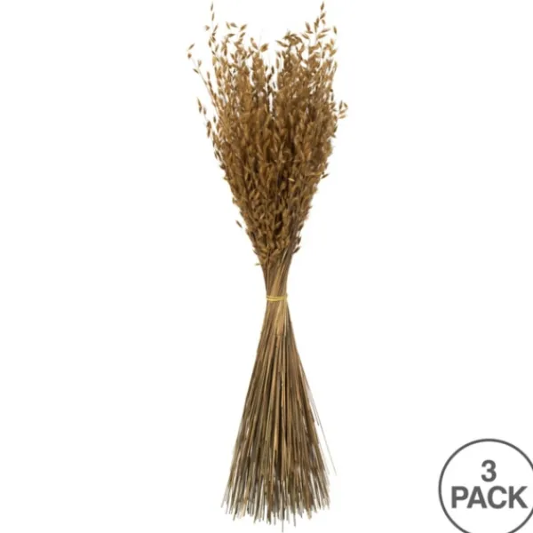Stems & Bouquets-Kirkland's Home Natural Dried Princess Grass Bundles, Set Of 3 Tan