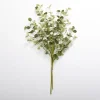 Stems & Bouquets-Kirkland's Home Natural Eucalyptus Bundle Green