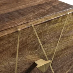 Dressers & Chests-Kirkland's Home Natural Mango Wood Chest With Brass Inlay