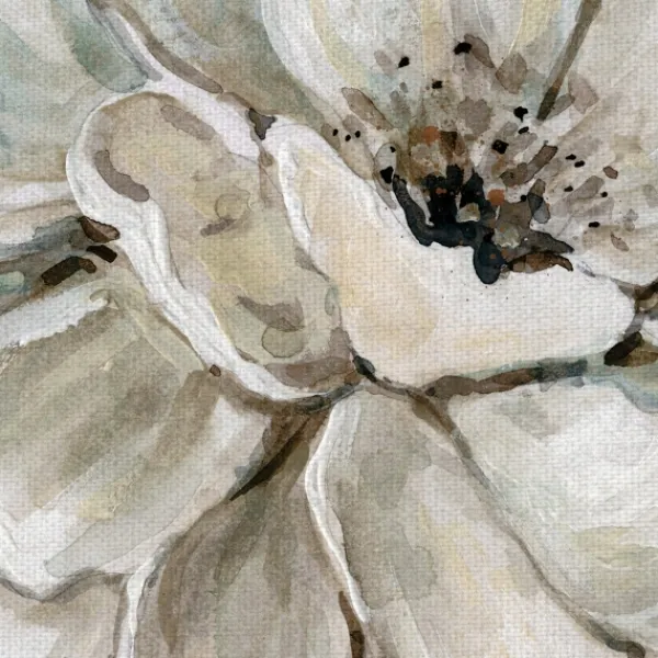Canvas Art-Kirkland's Home Neutral Bloom I Canvas Art Print Tan/White