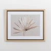 Framed Art-Kirkland's Home Neutral Dry Palm Leaf Framed Art Print Tan/Brown/White