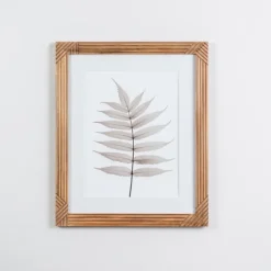 Framed Art-Kirkland's Home Neutral Fern Ii Framed Art Print Gray/White