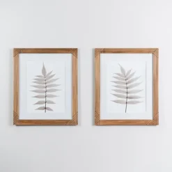 Framed Art-Kirkland's Home Neutral Fern Ii Framed Art Print Gray/White