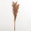 Stems & Bouquets-Kirkland's Home Nutmeg Pampas Grass Bundle Brown