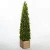Trees & Topiaries-Kirkland's Home Obelisk Boxwood Topiary In Wood Box, 48 In.
