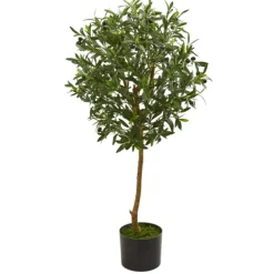 Trees & Topiaries-Kirkland's Home Olive Tree, 3.5 Ft.