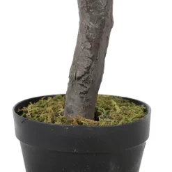 Trees & Topiaries-Kirkland's Home Olive Tree In Black Planter, 50 In.