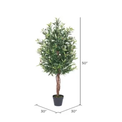 Trees & Topiaries-Kirkland's Home Olive Tree In Black Planter, 50 In.