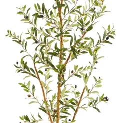 Trees & Topiaries-Kirkland's Home Olive Tree In Mossy Metal Planter
