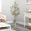 Trees & Topiaries-Kirkland's Home Olive Tree In Sandy Urn Planter
