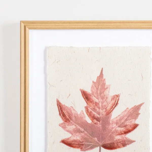 Framed Art-Kirkland's Home Orange Maple Leaf Framed Art Print White/Orange