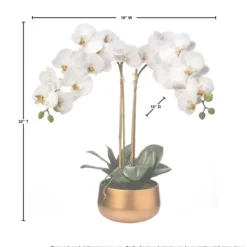 Arrangements & Greenery-Kirkland's Home Orchid Arrangement In Gold Pot, 22 In. White