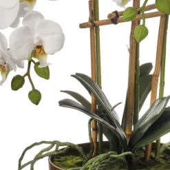 Arrangements & Greenery-Kirkland's Home Orchid Arrangement In Gold Pot, 25 In. White