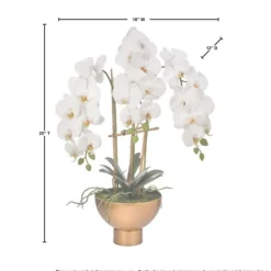 Arrangements & Greenery-Kirkland's Home Orchid Arrangement In Gold Pot, 25 In. White