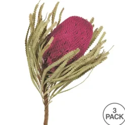 Stems & Bouquets-Kirkland's Home Orchid Dried Jumbo Banksia Stems, Set Of 3 Purple