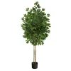 Trees & Topiaries-Kirkland's Home Outdoor Bright Green Ficus Tree, 64 In.