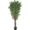 Trees & Topiaries-Kirkland's Home Outdoor Variegated Ficus Tree In Black Planter