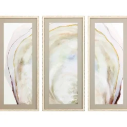 Framed Art-Kirkland's Home Oyster Shell 3-Pc. Framed Wall Art Set Tan/Gray/White