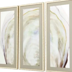 Framed Art-Kirkland's Home Oyster Shell 3-Pc. Framed Wall Art Set Tan/Gray/White