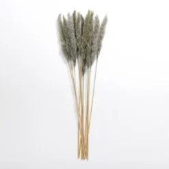 Stems & Bouquets-Kirkland's Home Pampas Bundle Gray