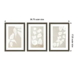 Framed Art-Kirkland's Home Paper Bark 3-Pc. Framed Wall Art Set White/Tan