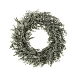 Wreaths-Kirkland's Home Parvafolia Eucalyptus Spiral Wreath Green