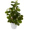 Arrangements & Greenery-Kirkland's Home Peperomia Arrangement In White Planter Green/White