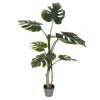 Trees & Topiaries-Kirkland's Home Philodendron Grand Split Potted Tree