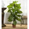 Trees & Topiaries-Kirkland's Home Philodendron In Terra Cotta Planter, 4 Ft.