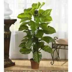 Trees & Topiaries-Kirkland's Home Philodendron In Terra Cotta Planter, 4 Ft.