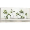Framed Art-Kirkland's Home Plant Shelf Life Framed Canvas Art Print White/Ivory/Green