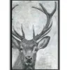 Canvas Art-Kirkland's Home Portrait Of A Deer Framed Giclee Canvas Art Print Black/White/Gray
